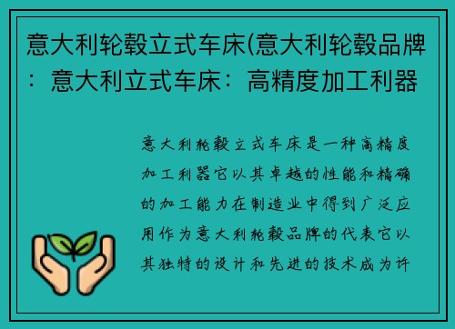 意大利轮毂立式车床(意大利轮毂品牌：意大利立式车床：高精度加工利器)